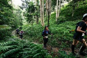 BIB: 
                            <button type="button" onclick="openModal(26409858)" class="btn btn-primary btn-sm float-right btn-popup" data-toggle="modal" data-target=".modal-high-quality">
                        <i class="fas fa-shopping-cart"></i> Add to Cart
                    </button>
                                            <button type="button" onclick="isThisMe(26409858, true)" class="btn btn-success btn-sm float-right btn-popup btn-isme hidden" data-toggle="tooltip" data-placement="bottom" title="นี่คือรูปของคุณใช่ไหม คลิกที่นี่เพื่อเอาเข้าอัลบั้ม">
                        <i class="fas fa-plus"></i> Add to album
                    </button>
                    <button type="button" onclick="isThisMe(26409858, false)" class="btn btn-warning btn-sm float-right btn-popup btn-isnotme hidden">
                        <i class="fas fa-ban"></i> Remove from album
                    </button>